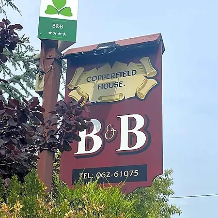 Copperfield House Отель типа 