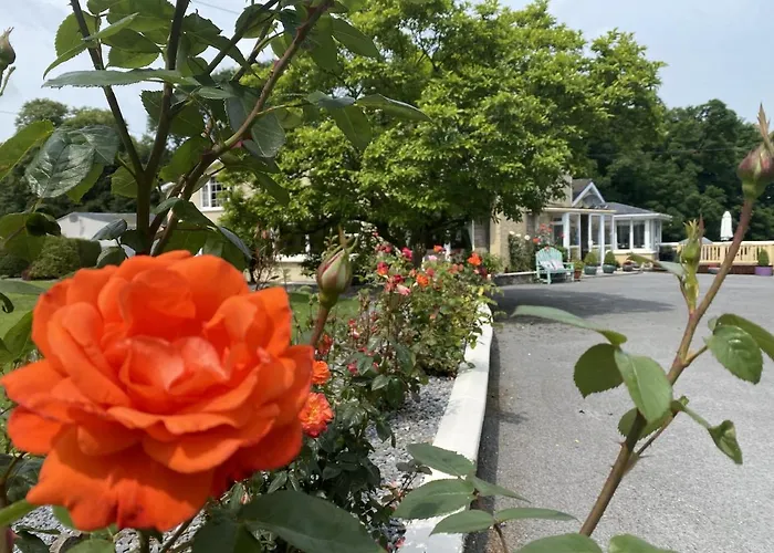 Copperfield House Couette-café